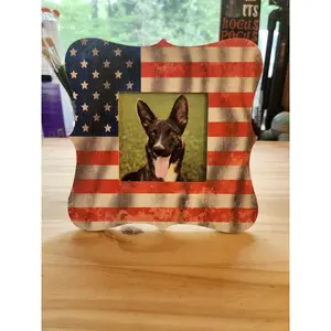 American Flag Picture Frame