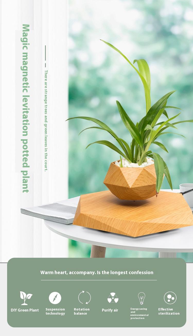 Cool Magnetic Levitating Plant Pot, 360° Rotating Floating Flower Pot with Wooden Texture Base, Unique Home & Office Desk Accessory