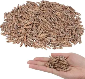 400 PCS Mini Sea Shells Natural Small Seashells, 0.6"-1.4" Tiny Sea Shells Natural Ocean Seashells for Crafts Wedding Decor Beach Theme Party, Fish Tank and Vase Filler