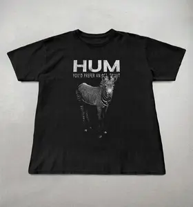 Hum shirt, 90s band tees, Hum graphic tee, alt rock shirt, you'd prefer an astronaut album tee, Unisex, grunge shirts, Hum band tee