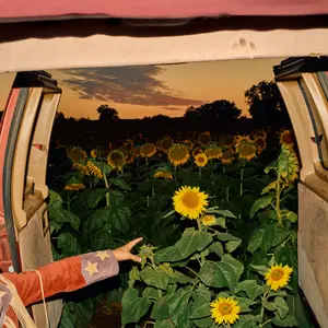 Kevin Morby - Little Wide Open  [COMPACT DISC - CD]