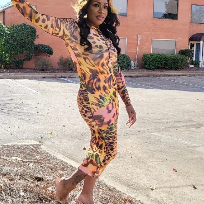 Multi Color Leopard Print Semi Fitted Bodycon Dress