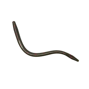 6" Finesse Worm - BloodLine Fishing Bait