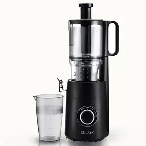 Wide Chute Cold Press Juicer