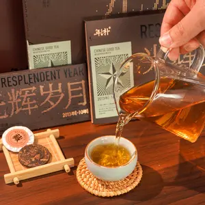 10+12 Resplendent Year Tangerine Puer Tea Cake 36pcs 180g (5g*36pcs) 12 Years Natural Sun Dried Tangerine 10 Years Puer