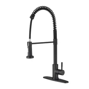 Single Handle Anti-Rust Spring-Loaded High Arc Kitchen Faucet - Pull-Down Sprayer Head with Stream/Spray Functions