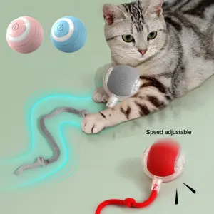 New Electric Cat Ball Toys Automatic Rolling Ball With Teaser Bird Cat Toys Pet Interactive Smart  Sensor Rechargeable Cat Toys Valentine's Day gift Tiktok Shop