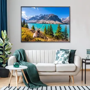 Huadada Jigsaw Puzzle 1000 Pieces "Rocky Mountain Lake"  Homepage Innovation Creative Gift Interactive Game for Adults  ducational Game