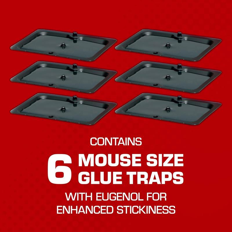 Tomcat Glue Traps Mouse Size with Eugenol for Enhanced Stickiness for Mice Cockroaches and Spiders 6 Traps US Made