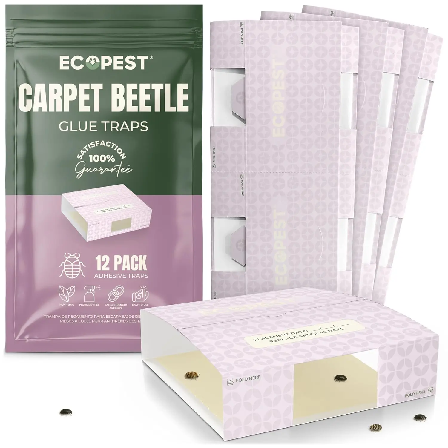 Carpet Beetle Traps – 12, 20 Pack | Sticky Indoor Glue Boards for Carpet Beetles, Larvae & Other Crawling Insects | Non-Toxic Pest Control Trap & Monitor for Closets, Storage Areas, and More