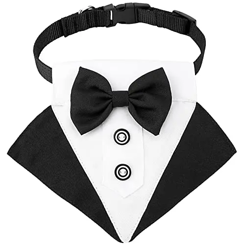 black(bandanas collar）