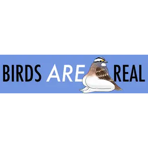 Birds Are Real Sticker