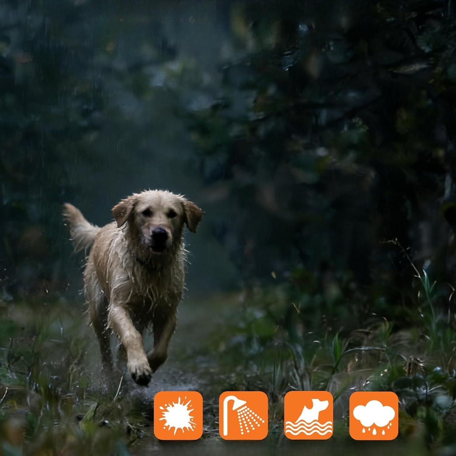 Dog Training Collar with Remote 800M Range, Beep Vibration Safe Shock Waterproof Rechargeable