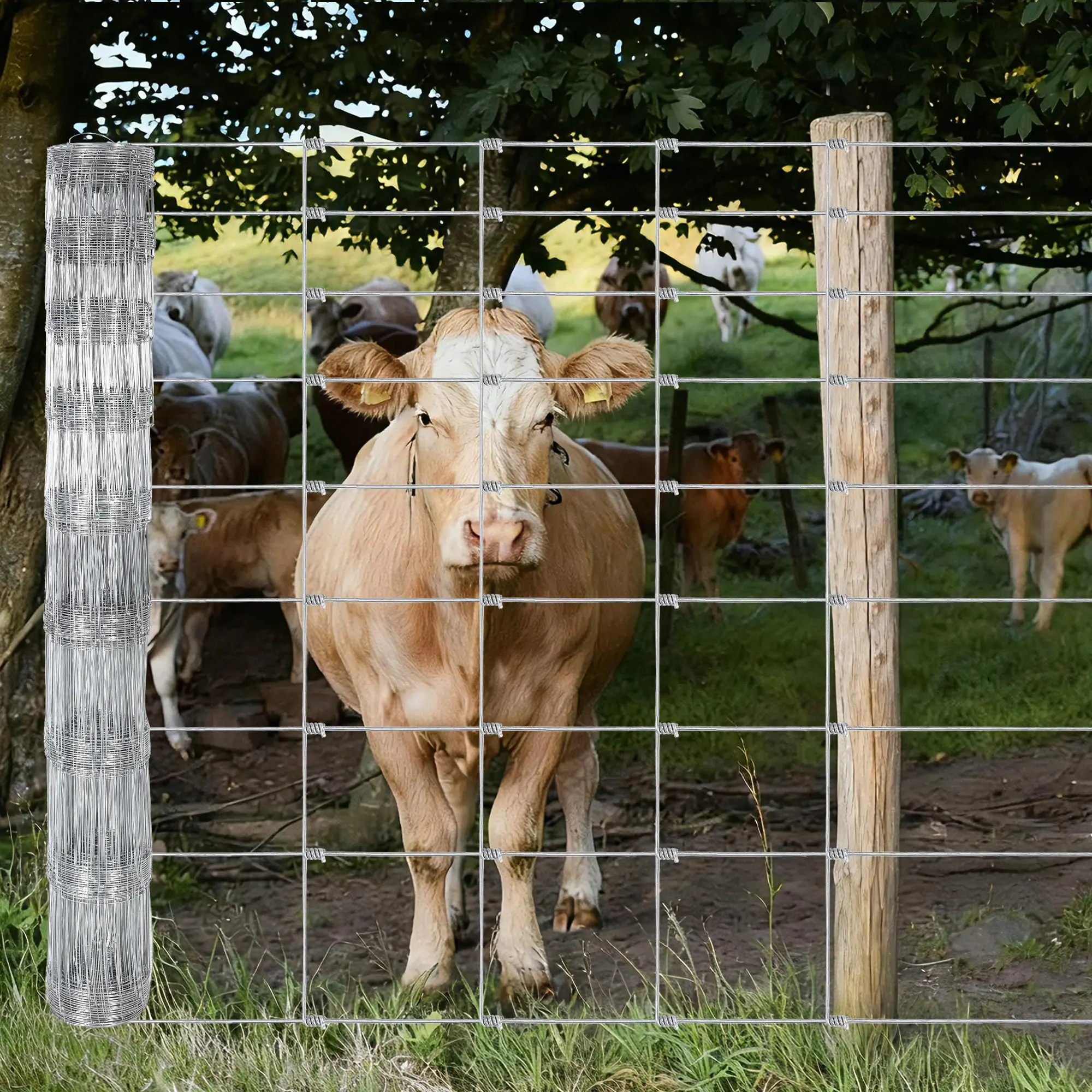 YJ-Garvee 5ft x 164ft/6ft×100ft Farm Fence, Galvanized Livestock Fence, Goat Fence, Cattle Fence, Heavy Duty Wire Fencing for Livestock & Animals Protection
