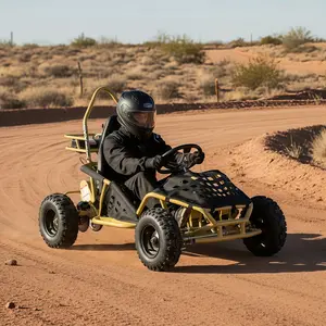 GK 49cc Go Kart, 4-Stroke Gas Powered Go Kart for Kids, Off Road Go Karts with Seat Belt, Pull Start Automatic Clutch 1 Seater Go Cart, 143 Lbs Maximum Load, EPA Approved
