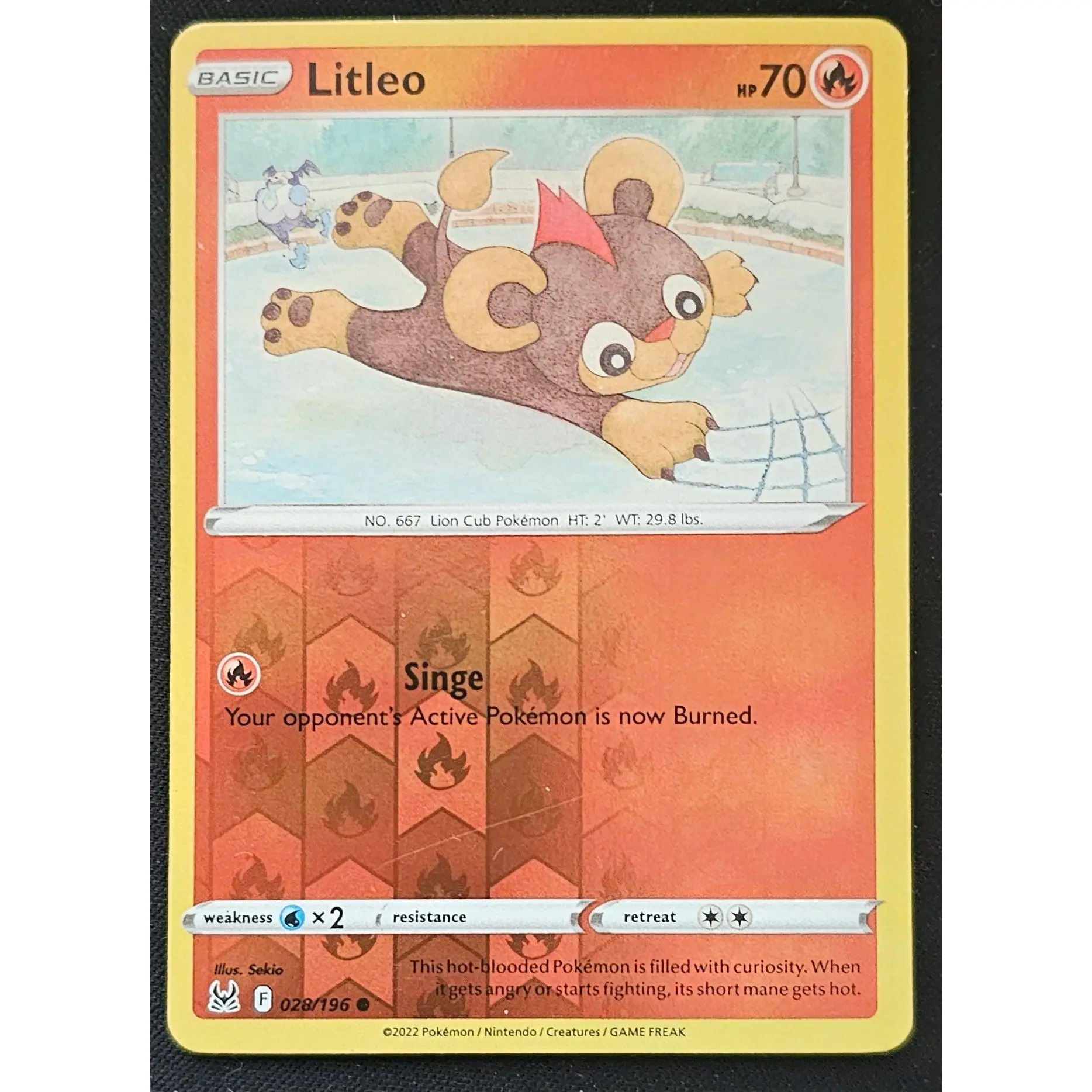 Pokemon Litleo Single Trading Card - 028/196 Reverse Holo, Holographic Foil Finish, Fire-Type Deck Builders Collectible, 2022 Release