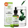 Liquid Chlorophyll Drops Nutritional Supplement - 4-Month Supply, Peppermint Flavor, Internal Deodorant Supplement, Gut Support, Liver Cleanse Detox, Antioxidant Rich, Bad Breath Relief
