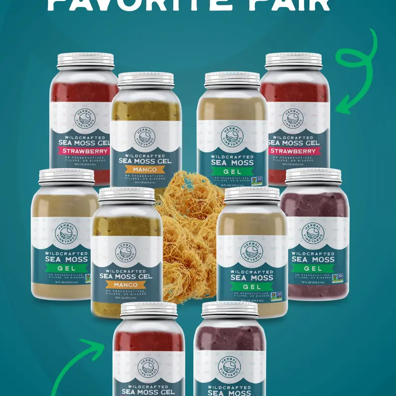 Herbal Vineyards Wildcrafted Sea Moss Gel Bundle - 2 Jars (Mix & Match Flavors) - Organic, Vegan, Allergen-Free (GMO, Dairy, Gluten) - Digestive, Immune Support Edible Dietary Supplement - Ships Cold & Fresh, Monthly Supply, Dairy Free, Digestive Health S