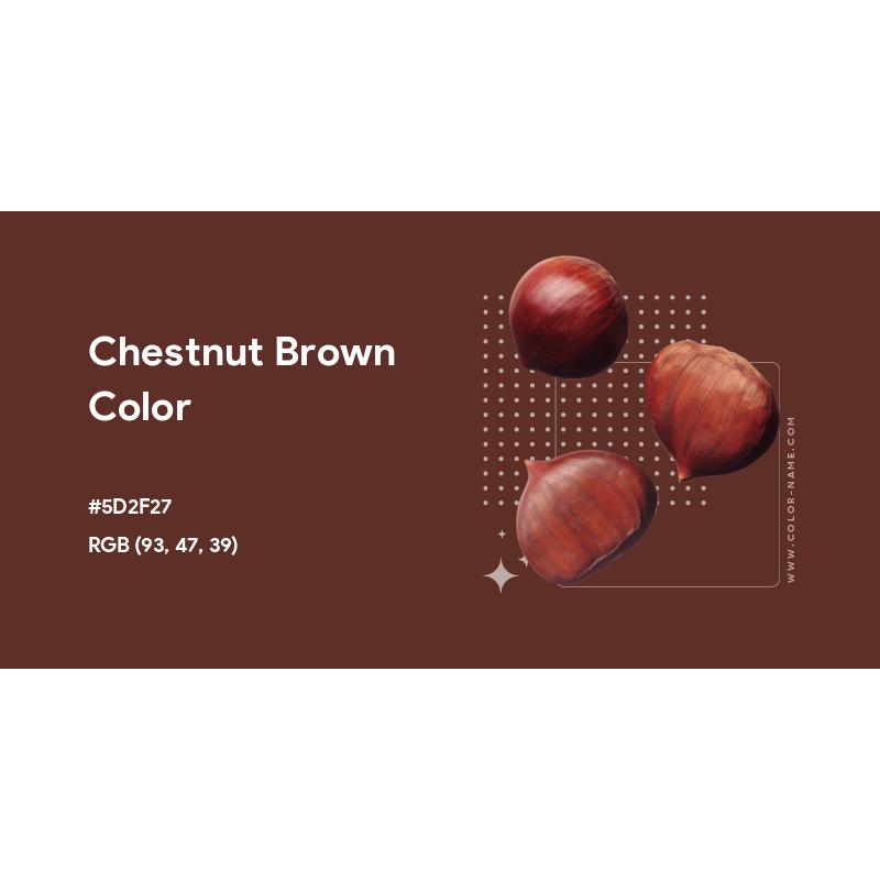 【Limited time deal】Women's Undershirt Long Sleeve SlimRound Neck Slim Fit Streetwear Basic Minimalist Womenswear Top