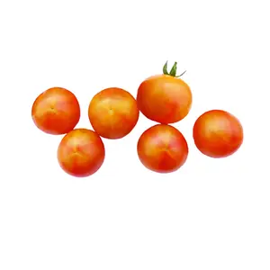 Isis Candy Tomato Seeds - Cherry Tomato Bi-color - Heirloom