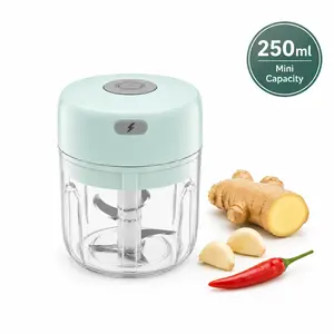 Mini Electric Food Chopper, 250ml USB Rechargeable Garlic Chopper for Garlic, Ginger, Chili & Herbs