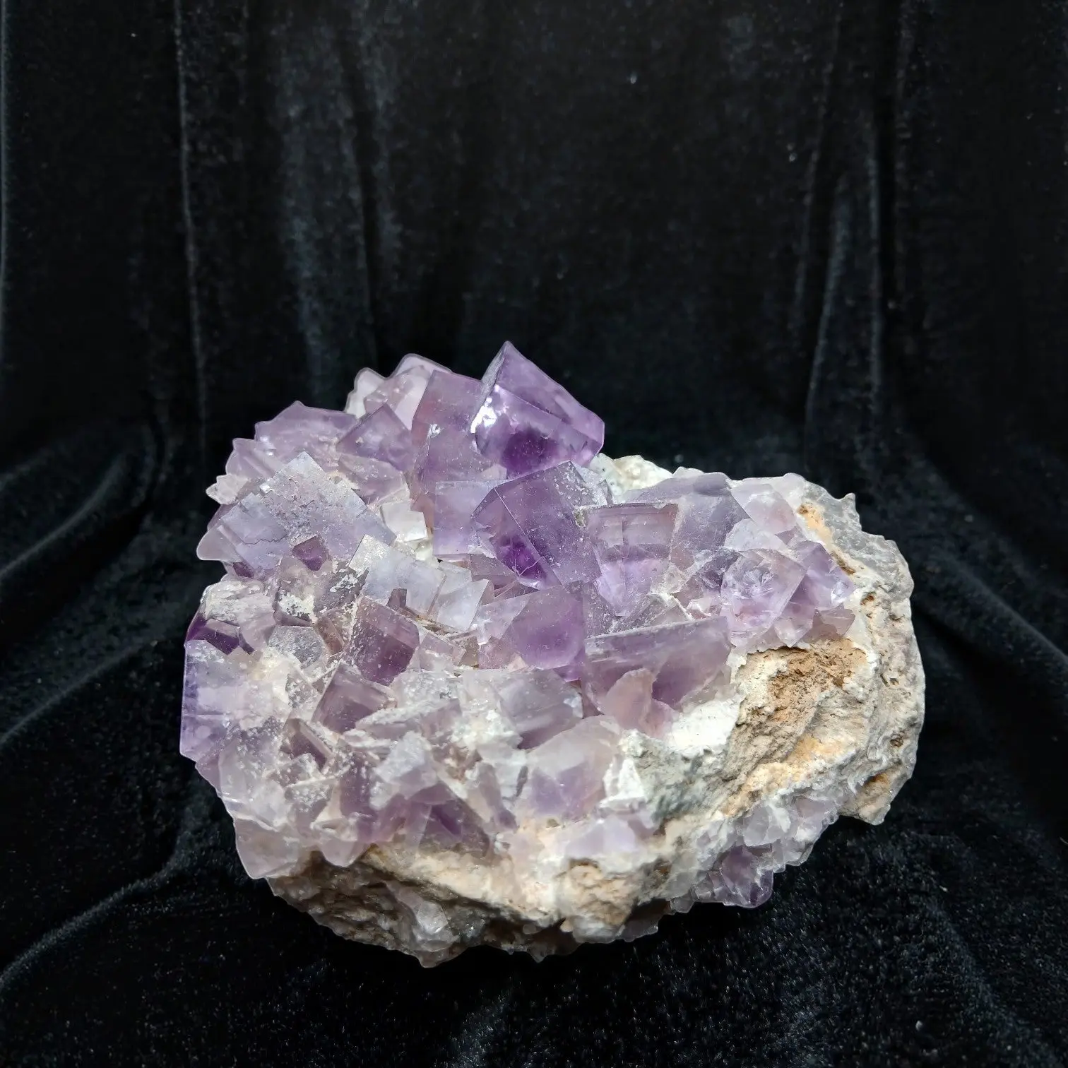 La Viesca Purple Fluorite