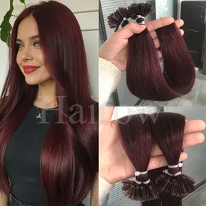 Wholesale New Fashionable Burgundy U Tip Hair Extensions Human Hair StraightFusion Natural Human Hair Extensions Machine Keratin Nail Tips Hair Extensions 50pcs/pack