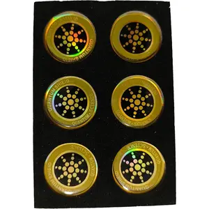 EMF Stickers Blocker Neutralize Shield Protection from Cell Phones cased and Electronic Devices WiFi 5G Tablets Laptops Computers TV Monitors (6Pcs Golden)