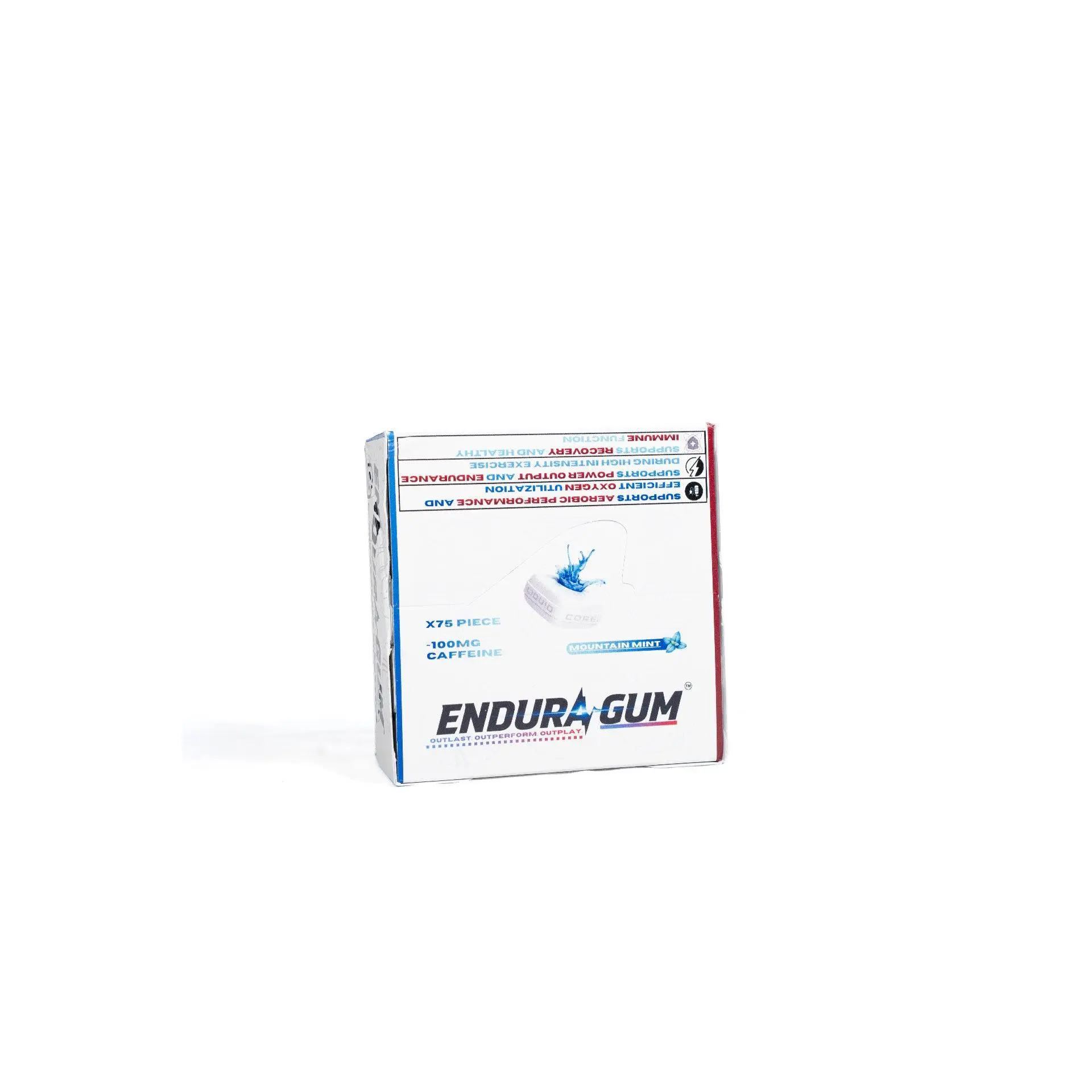 EnduraGum Chewing Gum, 75-Piece Pack