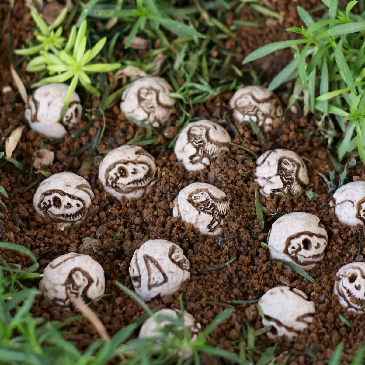 20pcs Dinosaur Fossil Decor Stones, Garden Dinosaur Fossil Scene Setup, Outdoor Fairy Tale Micro Landscape Statue, Aquarium Decoration, Garden Accessories