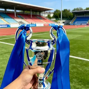 European Champion Trophy Sports Award Cup, Football Match Large Ears Trophy Model, Fan Memorial Gift, Collector's Item