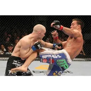 USED-UFC 121: Lesnar vs Velasquez (Unknown)