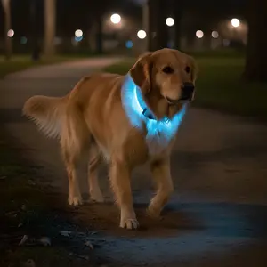 Rechargeable LED Dog Collar for Nighttime Safety, Waterproof and Comfortable Light-Up Design for Small Medium Large Dogs