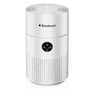 Bandesun Air Purifiers for Bedroom, H13 True HEPA Filter for A11ergies, Pollen, Smoke, Dusts, Pets Dander, Odor, Hair, Ozone Free, 20db Quiet for Home, Room, Kitchen Household Appliances Power