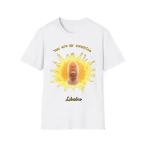 Personalized You Are My Sunshine Tshirt, Lebron James Shirt, Meme Shirt, Viral Shirt, Lebonbon Shirt, Lebonbon Meme Sweatshirt, Lebron Shirt, Pookie Bear Shirt, Lebron James Merch Shirt, Cursed Lebron Shirt, Gift For Her, Gift For Him