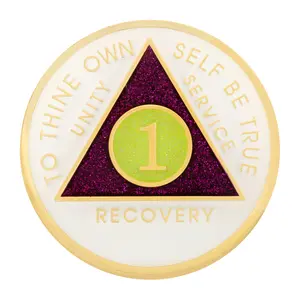 Alcoholics Anonymous New Premium AA Yearly Purple Luxe Glitter Recovery Medallion 3dpetergriffinmedallion Accessories Circle