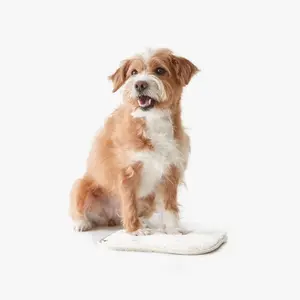 [BETTERS] Grooming Jam Paw Paw Towel (25x25cm)