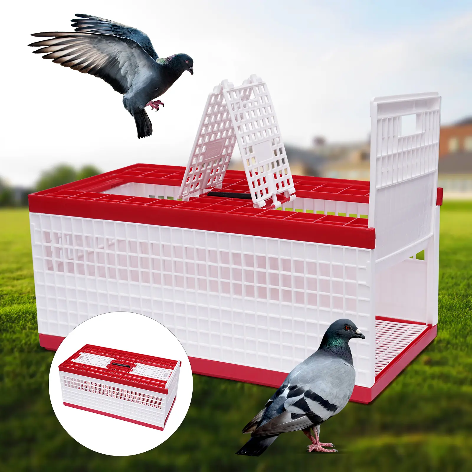 Injection Molded Plastic Pigeon Transport Cage, Modern Large Capacity Rectangle (23.62*12.2*10.24in, 3.38kg/7.45lbs, About 14 Pcs) - Grid Ventilation for Fresh Airflow & Visibility, Top Handle, Easy Assembly, Cleaning & Access, for Courtyard Use
