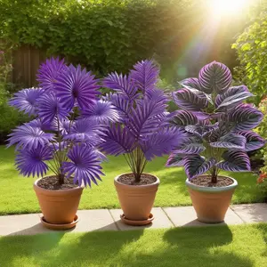 3-Piece Outdoor Artificial Plant Set, Realistic Violet Decor, Tropical Rainforest Landscape Trees for Garden Patio Living Room Hotel Wedding Home Decoration,Without pots