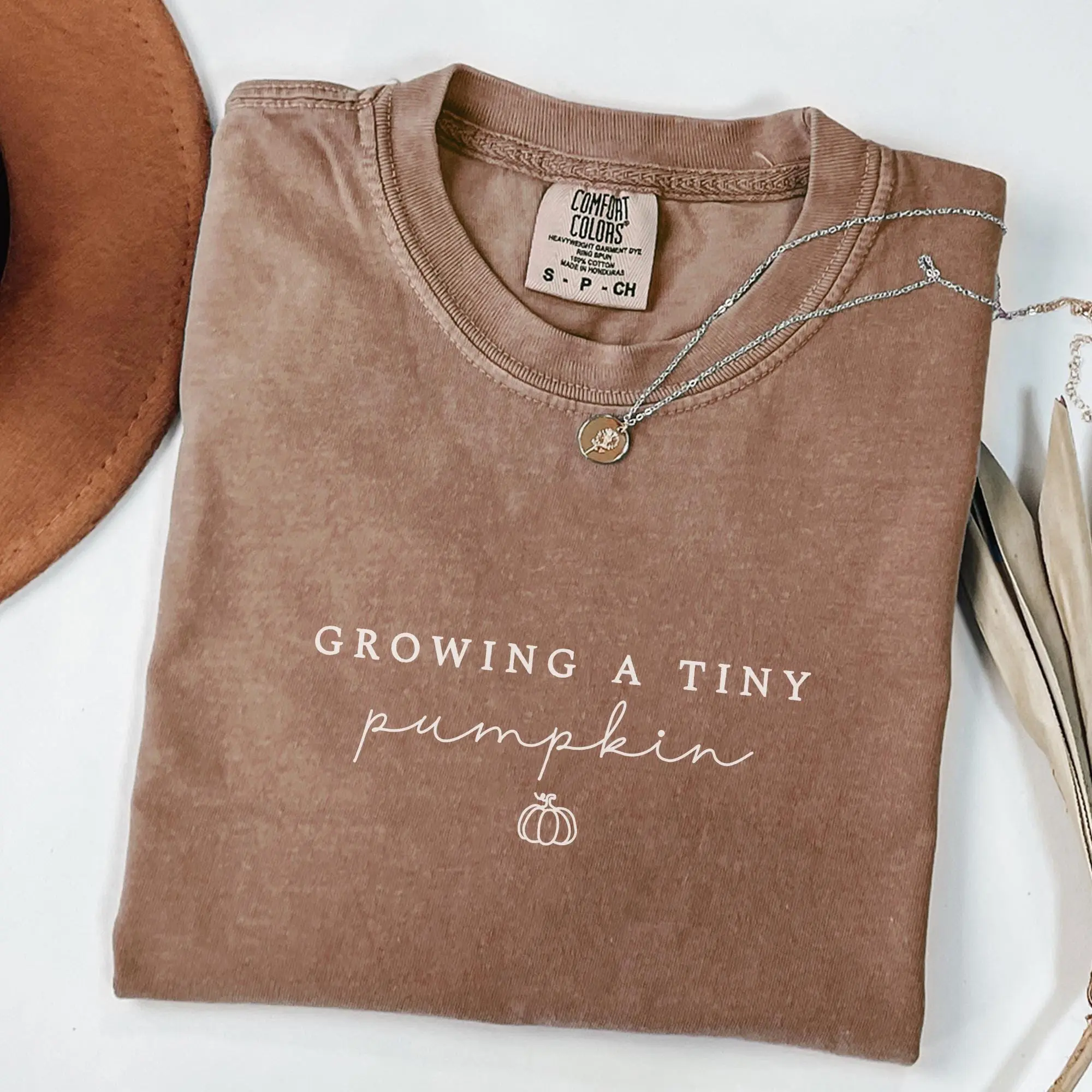 Comfort Colors Growing A Little Pumpkin Fall Pregnancy Announcement Shirt, Mom to Be Gift, Maternity Autumn Tee