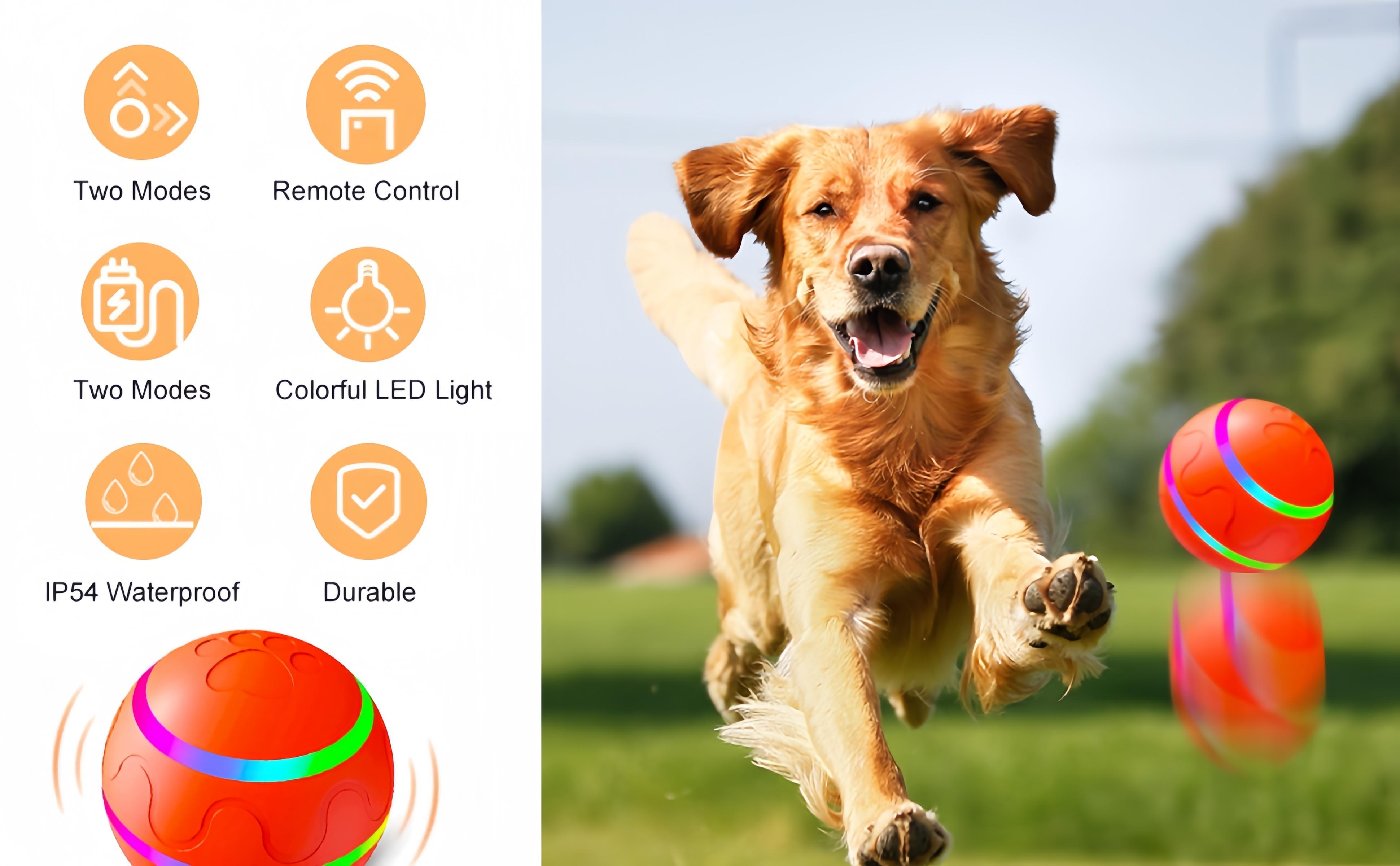 Electric Pet Toy Ball, Interactive Dog Toys with Motion Activated, Squeaky Dog Toy Active Rolling Ball Wicked，360° Automatic Rotating Roller Ball, Rechargeable Pet Exercise Chase Toy Ball, Suitable for Cats and Dogs to Play, Pet Products,