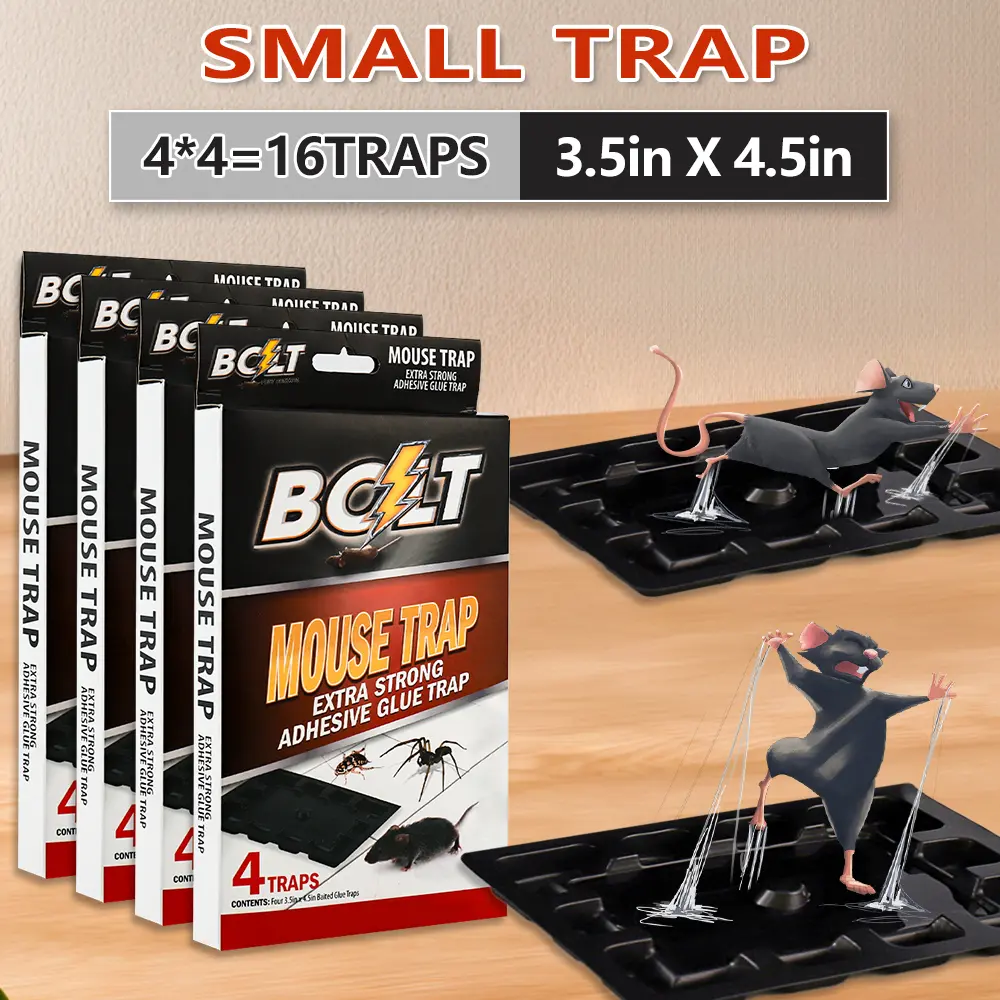 Small（4*4 traps）