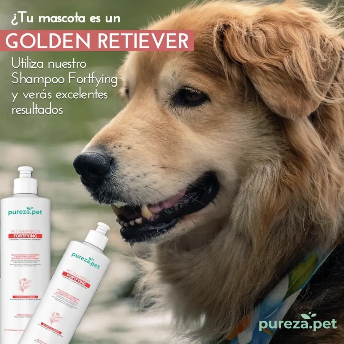 Fortifying Pet Shampoo and Conditioner Set for Dogs And Cats