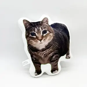 oiiai Internet celebrity cat funny alien pillow printed pillow, high-quality stuffed plush cushion, fan's gift,birthday gift