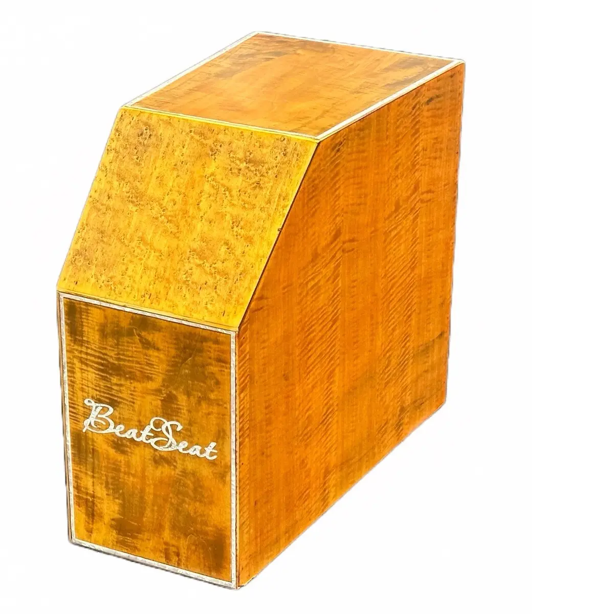Signature Model: BeatSeat️: The Only Drum For Guitarists & Powerful Sensory Therapy Drum For Special Needs & Autism, The Only Full Body Drum On Earth! Collector's Edition Special Edition
