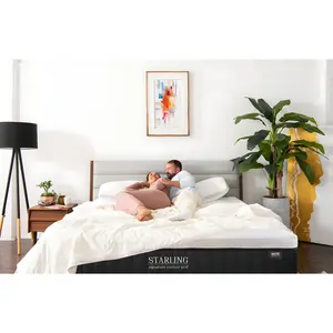 Starling Signature Contour Grid