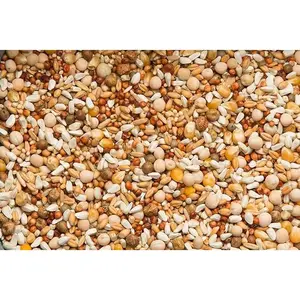 Purgrain Breeder Conditioner 16% POPCORN