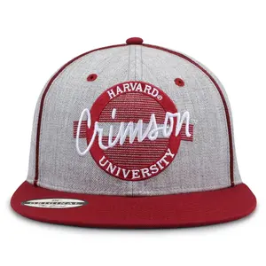 Harvard '88 Classic Snapback