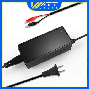 14.6V 5A Plastic Shell LiFePO4 Battery Charger