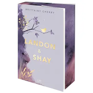 Landon & Shay (Book #2 of Chances)